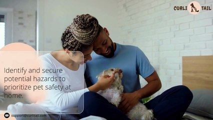 Pet Safety Must-Haves: Creating a Secure and Happy Home