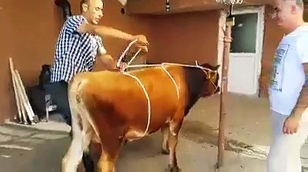 Funny video! Comedy video