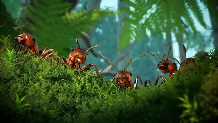 Empire of the Ants – Release Date Trailer