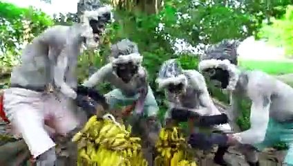 Don_t Miss Exclusively Monkey Funniest Comedy Video  Viral Funny Video 2024 Ep 01