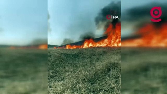 Yıldırım düştü, tarla yandı: 100 dönüm buğday küle döndü
