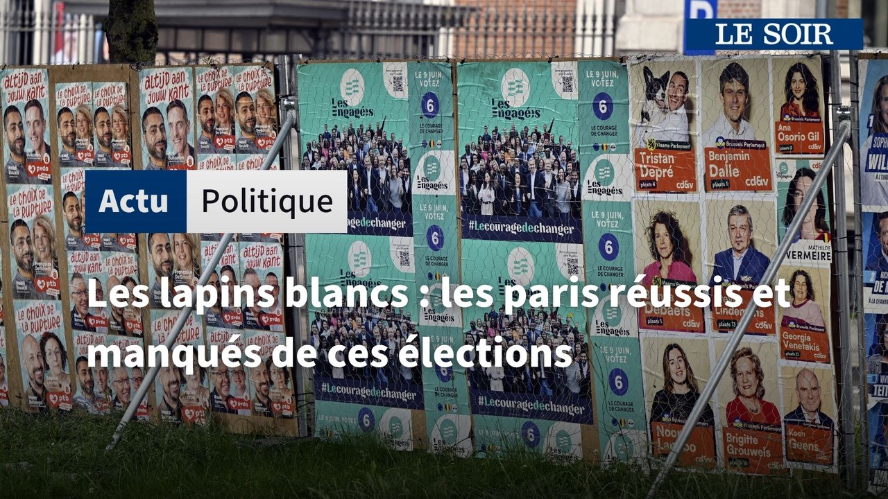 Les lapins blancs : les paris réussis et manqués de ces élections