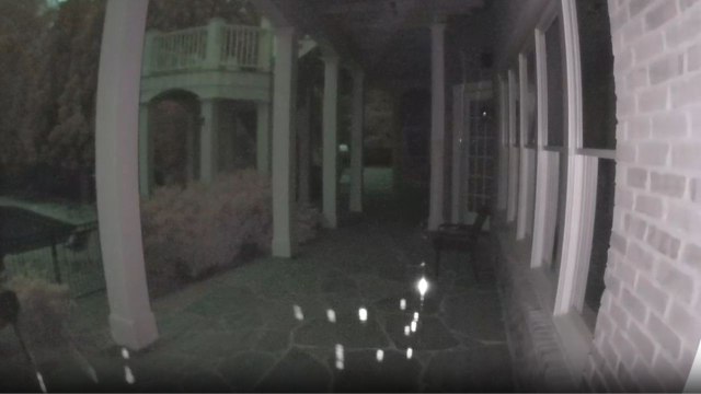Ring doorbell camera catches bizarrely fascinating sight outside the front door