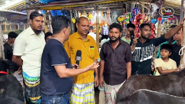 দেড় লাখ ১ লাখ ৮০ হাজার টাকা দামের বিশাল বিশাল ছাগল গাবতলীর হাটে! কোরবানি ২০২৪