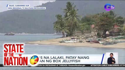 13-anyos na lalaki, patay nang madikitan ng box jellyfish | SONA