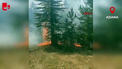 Adana ve İzmir'de orman yangınları