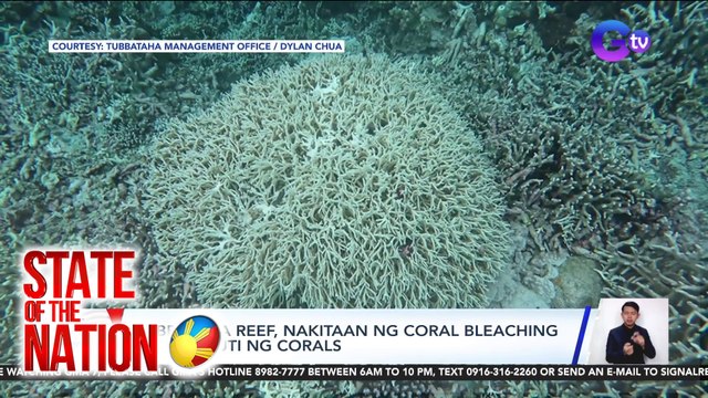 Tubbataha Reef, nakitaan ng coral bleaching o pamumuti ng corals | SONA