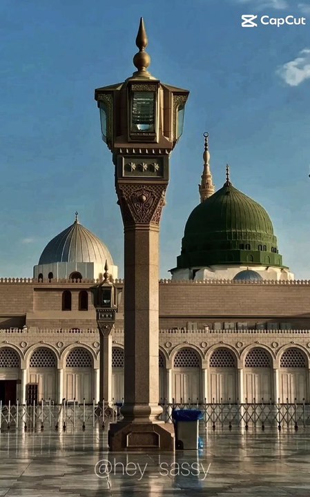 mola ali