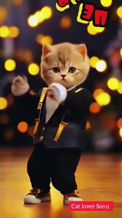 Cat dance|Funny cat|kittens dancing|cute cat and kitten dancing
