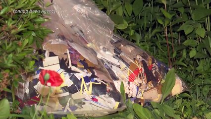 Coreia do Norte volta a enviar balões com lixo para Coreia do Sul