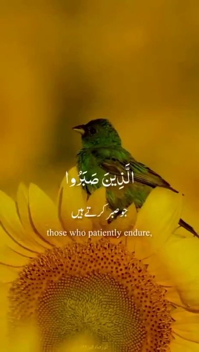 قرآن پاک