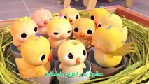Cocomelon Arabic - Little Chicks Numbers Song  أغاني كوكو ميلون بالعربي  اغاني اطفال  عشرة فراخ_