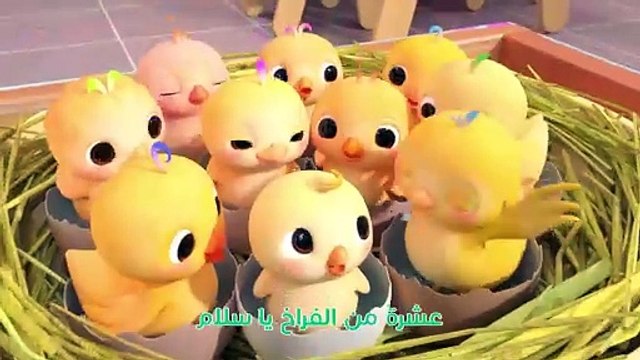 Cocomelon Arabic - Little Chicks Numbers Song أغاني كوكو ميلون بالعربي اغاني اطفال عشرة فراخ_