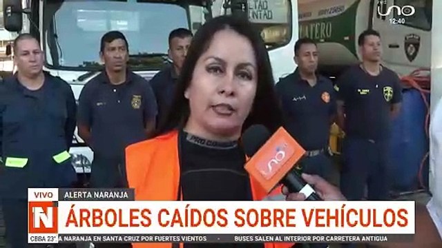 EMERGENCIA POR FUERTES VIENTOS