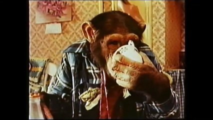 Monkey Business (Brooke Bond PG Tips Funny Adverts with Chimps, from the 80's) - Documentary (1993)
