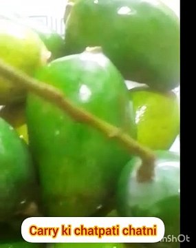 June-10-2024-carry-ki-chatni-chatpati-ch_127June 10, 2024#carry ki chatni chatpati # chutney ️ #carry Ki# Chatthi#recipe