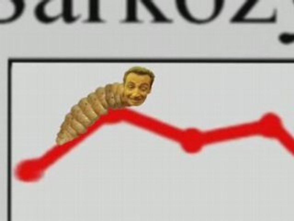 SARKOZY LA TEIGNE chute dans les sondages