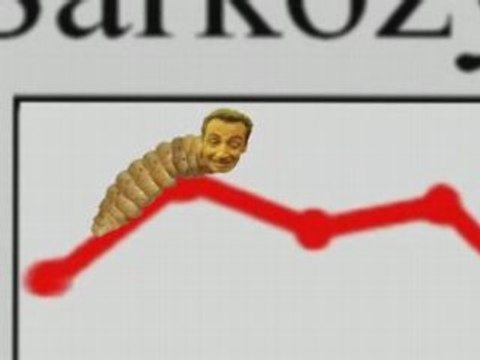 SARKOZY LA TEIGNE chute dans les sondages