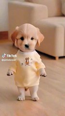 594fedb4562e502b2f0e4b811b5229a9