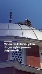 Leylek yuvası minareden sağlam çıktı