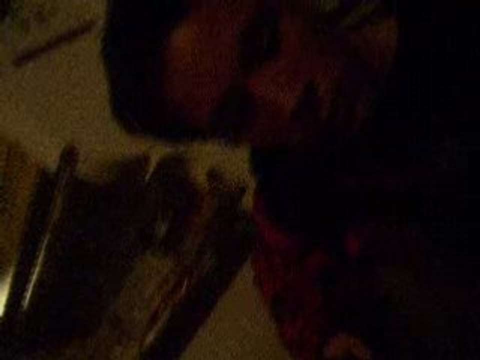 CIMG0981