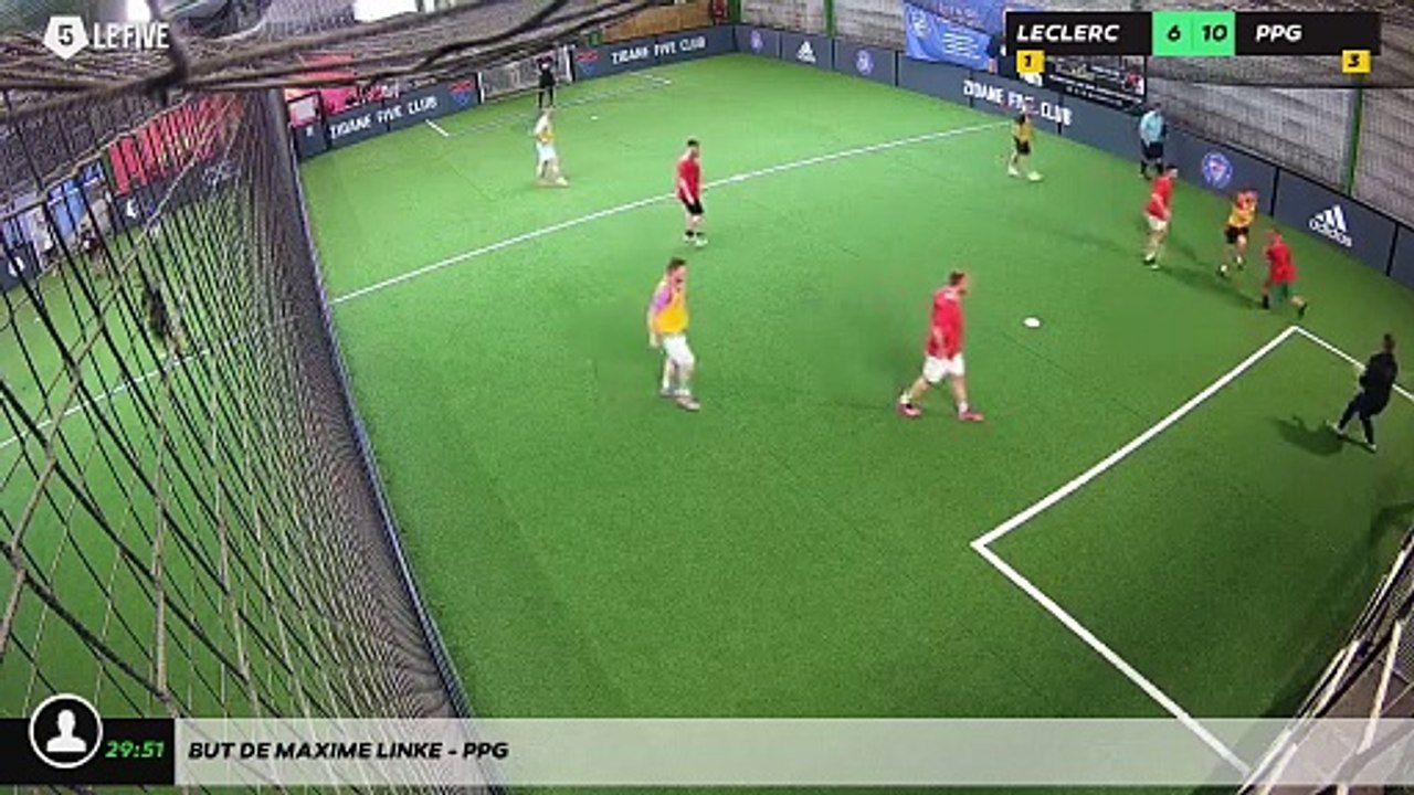 But de MAXIME LINKE - PPG