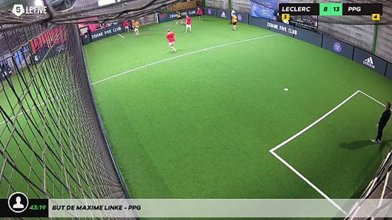 But de MAXIME LINKE - PPG