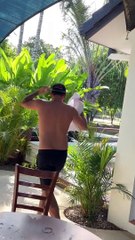 New entertainment vedio