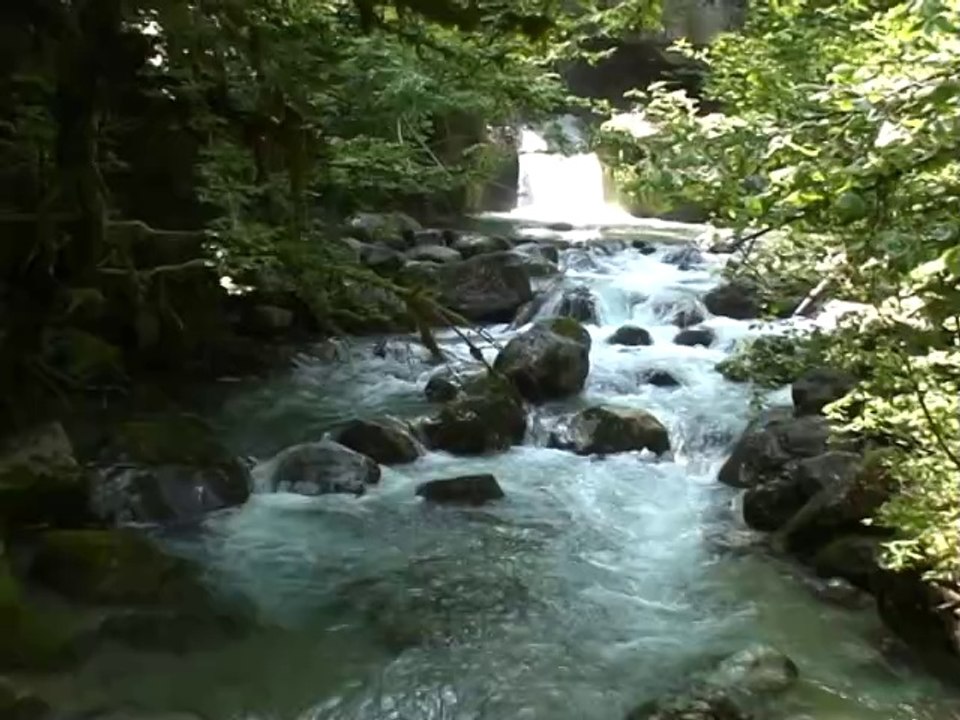 Gorges du Gorgonnet - Rovon 38470