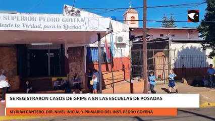 Se registraron casos de gripe A en las escuelas de Posadas