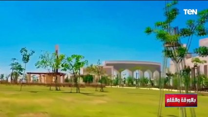 الديهي يلقن بهي الدين حسن درساً على الهواء بعد أكاذيبه عن تعمد قطع الأشجار بمصر.. ويعلق: اتعمى