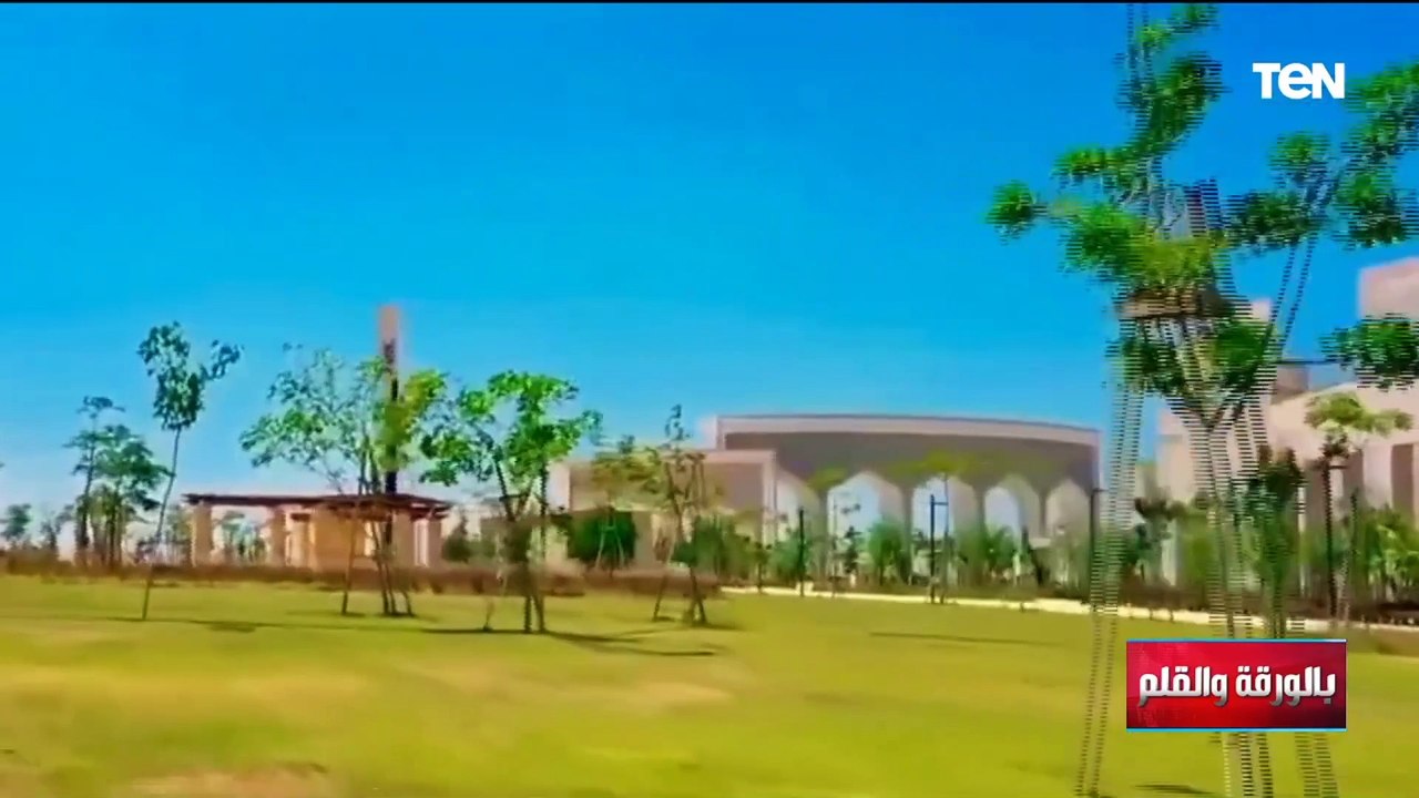 الديهي يلقن بهي الدين حسن درساً على الهواء بعد أكاذيبه عن تعمد قطع الأشجار بمصر.. ويعلق: اتعمى