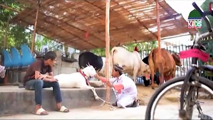 Dr Sahab Mera Bakra Zakhmi Hogaya   Mobile Doctor Bakra Clinic EP 02  Bakra Eid 2021