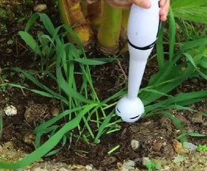 Unleash your inner plant parent with  these awesome gardening ideas!