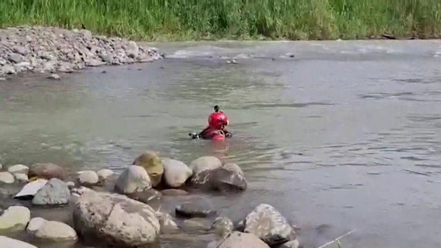 tn7-busquedamenor-100624