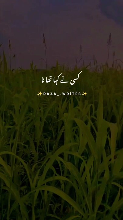 VID-20240610-WA0000