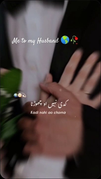 ___❤️_#❤️_#bollywoodsong_#shehzadawrires_23_#capcut_#foryou_#foryou_#foryou_#foryou_