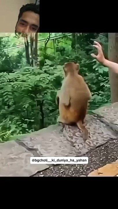 Most funny