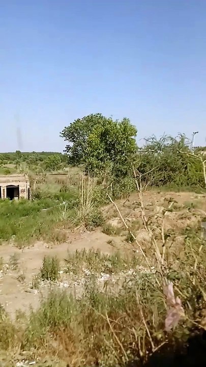 VID_20240609_152352