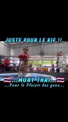  Muay Thai ☑️ Juste pour le kif‼️✅ Pour le plaisir des yeux‼️ #muaythai