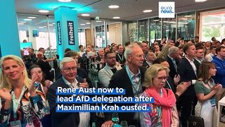 Germany's far-right AfD appoints new European Parliament delegation leader