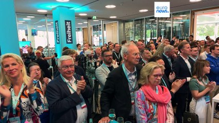 Alternativa para Alemania busca tener un rostro presentable en Bruselas