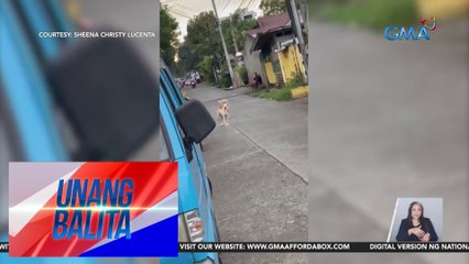 Funny moments ng fur parent at kaniyang mga alagang aso, kinaaliwan online | Unang Balita