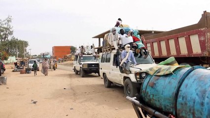 Estudo aponta 2023 como ano com mais conflitos armados no mundo desde 1946