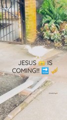 JESUS  IS COMING  