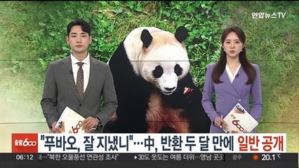 "푸바오, 잘 지냈니"…중국, 반환 두 달 만에 일반 공개