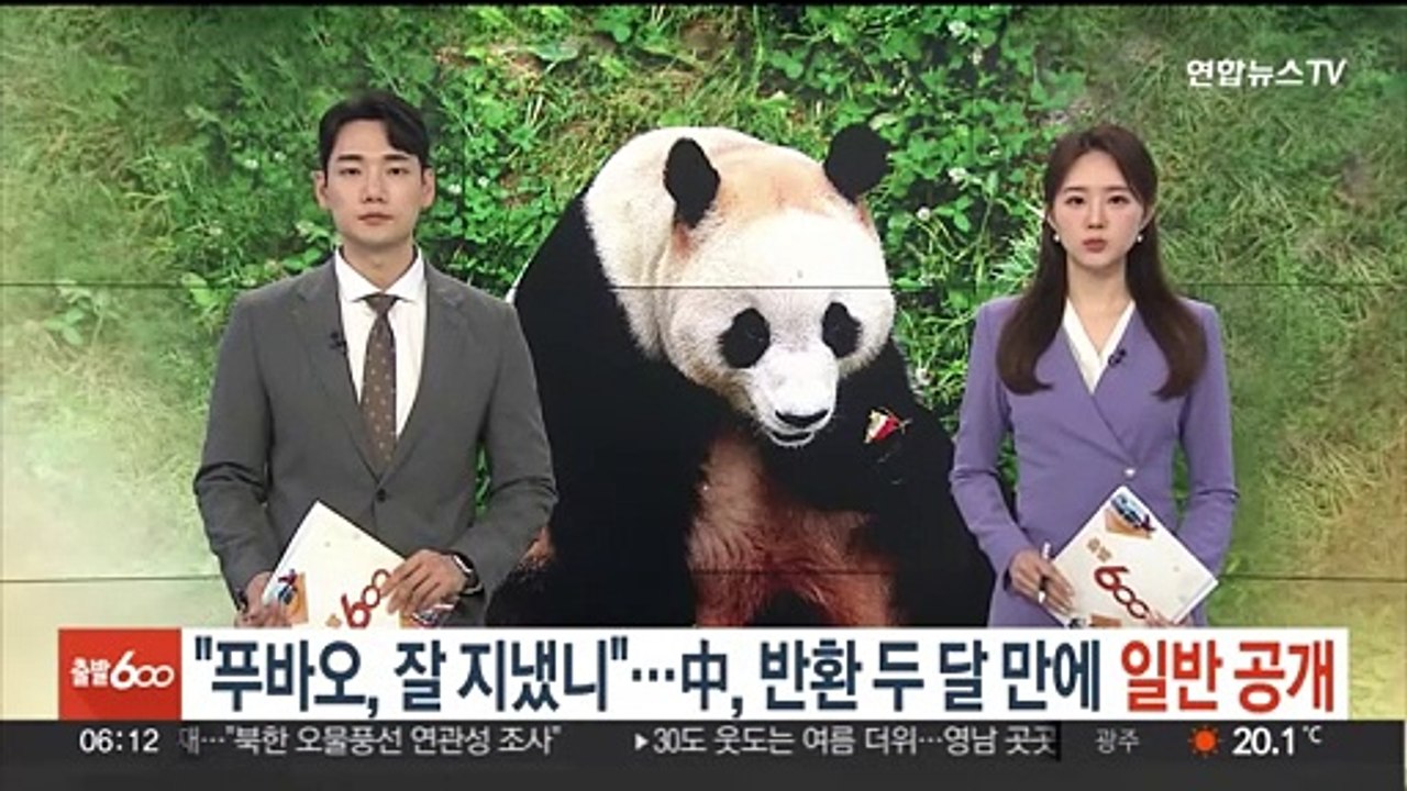 "푸바오, 잘 지냈니"…중국, 반환 두 달 만에 일반 공개