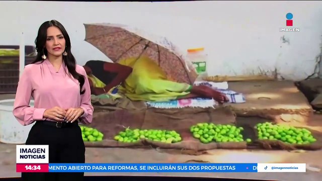 Ataque de perros salvajes deja a 23 animales muertos en Chile