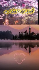 Islamic lyrics | Beautiful words | life changing |#saba.fayyaz0322