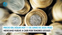 Precio del dólar hoy 11 de junio de 2024: Peso mexicano vuelve a caer por temores locales